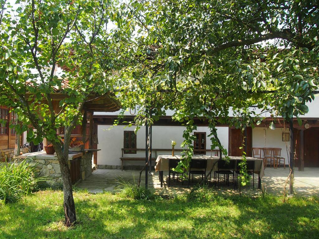 Hôtel Terra House à Mindya Extérieur photo